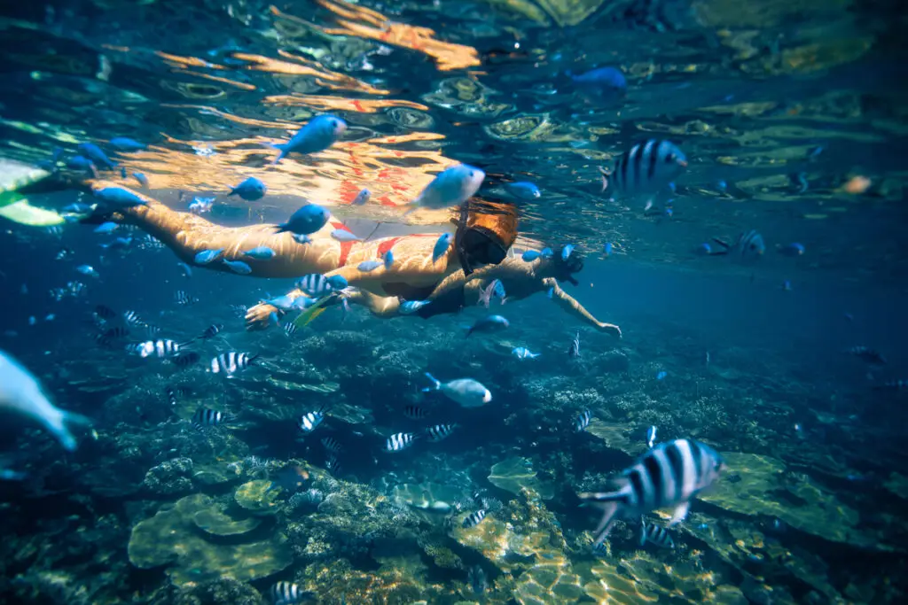 Six Senses Fiji snorkelling