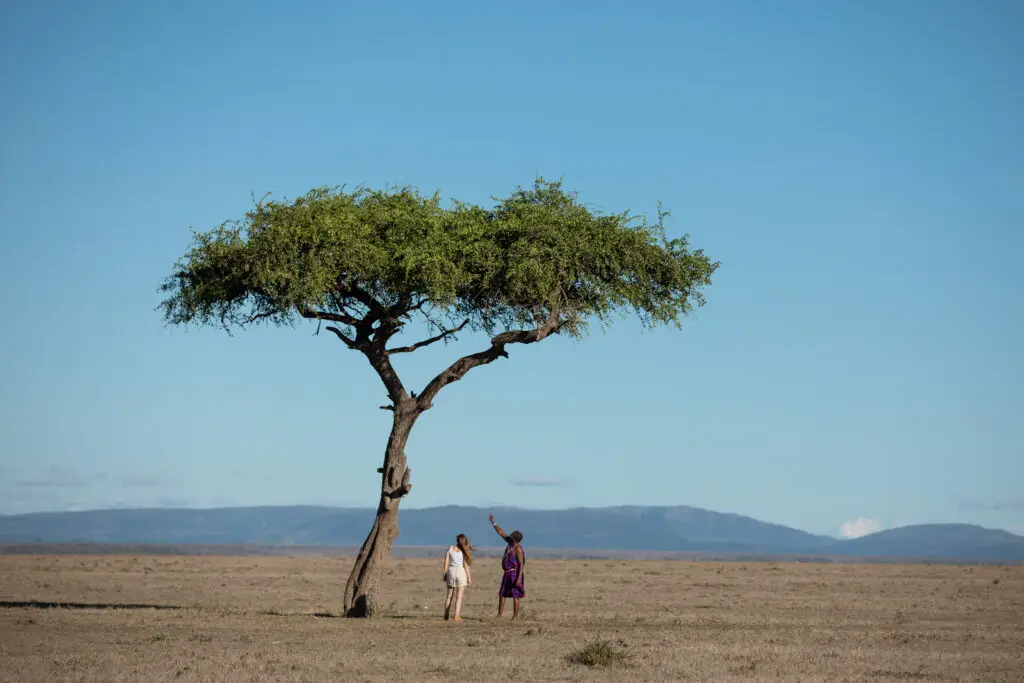 Mahali Mzuri