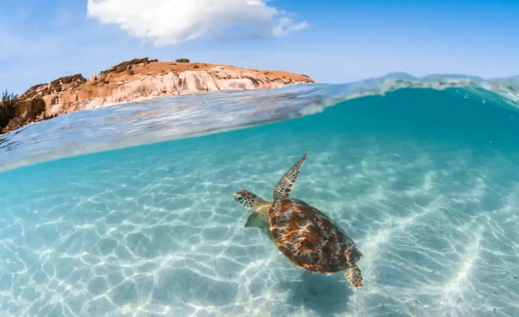 Luxury Tropical escape in Australia