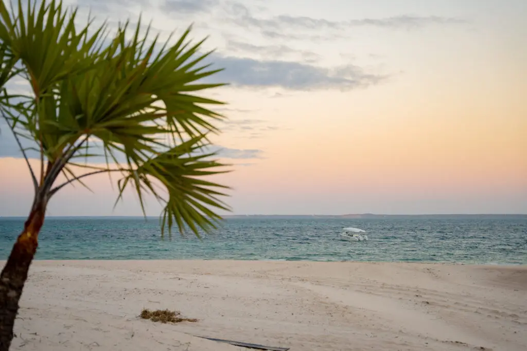 Azura Marlin Beach Mozambique